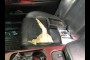 2006 LEXUS GS GS 300 