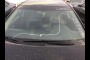 buy new CAMRY in 2012 TOYOTA CAMRY SE V6