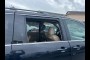 used HONDA ODYSSEY 2007 HONDA ODYSSEY EX-L W/ DVD