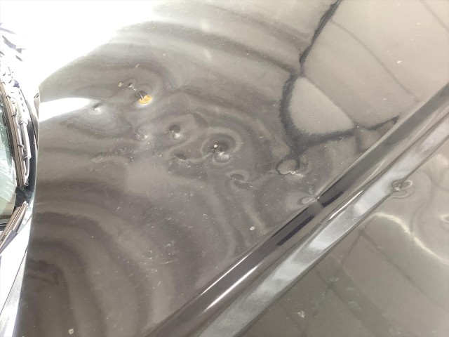 2012 HONDA ACCORD SE SEDAN AT