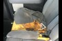 private sellers FORD 2013 FORD F-150 XLT SUPERCREW 6.5-FT. BED 4WD