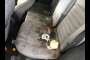 2014 FORD FUSION S 