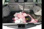 certified and pre-owned BMW 2008 BMW X5 3.0SI