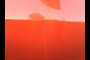 pre owned DODGE CHALLENGER 2016 DODGE CHALLENGER UNKNOWN