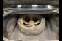 lowest CALL in 2015 DODGE CHALLENGER UNKNOWN