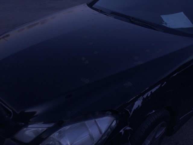 2010 MERCEDES-BENZ E-CLASS E550 COUPE