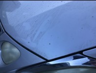 Condition Image