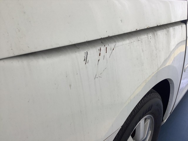 2009 HONDA ODYSSEY EX-L W/ DVD