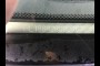 2002 HONDA ODYSSEY UNKNOWN 