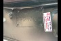 used CHEVROLET 1978 CHEVROLET