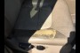 used FORD EXPEDITION 2006 FORD EXPEDITION EDDIE BAUER 2WD
