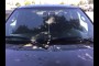 FORD for sale in 2005 FORD F-150 XLT SUPERCREW 2WD